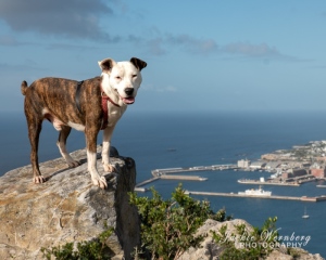 1_DSC_0076-Edit