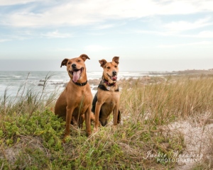 DSC_0032-Edit