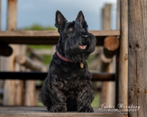 DSC_0079-Edit