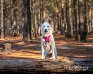 DSC_0082-Edit