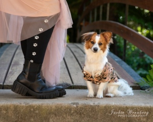 cute-furry-dog-wearing-jacket-sitting-next-to-human-leg-with-paw-pattern-stocking