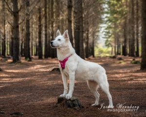 DSC_0110-Edit