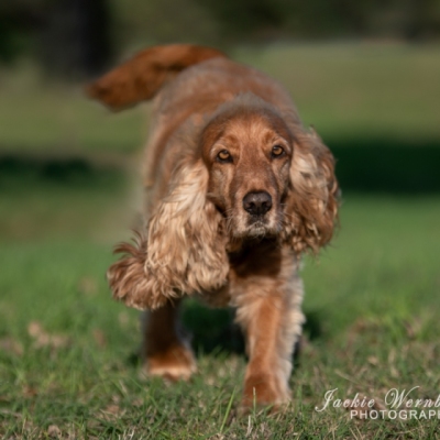 DSC_0010-Edit