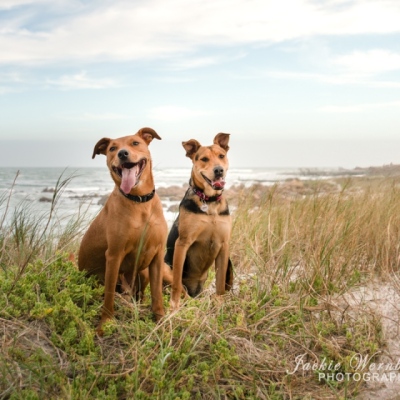DSC_0032-Edit