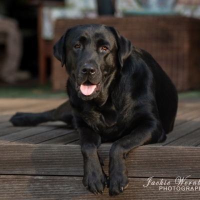DSC_0057-Edit