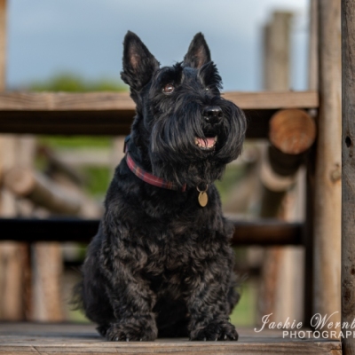 DSC_0079-Edit