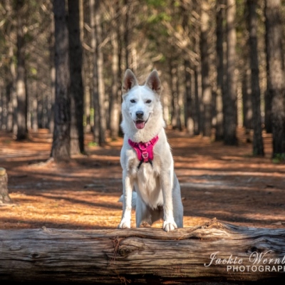 DSC_0082-Edit