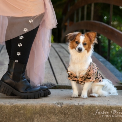cute-furry-dog-wearing-jacket-sitting-next-to-human-leg-with-paw-pattern-stocking