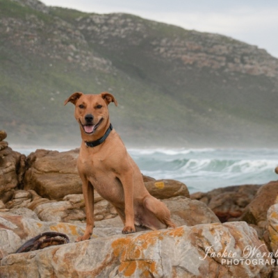 DSC_0104-Edit