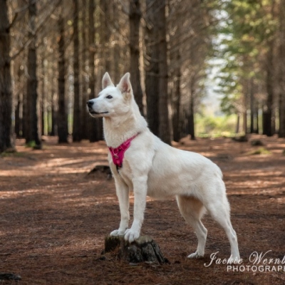 DSC_0110-Edit