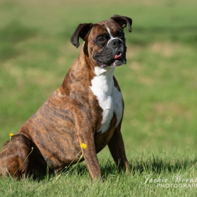 DSC_0129-Edit