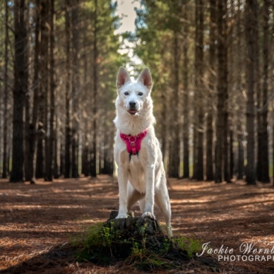DSC_0131-Edit