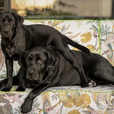 DSC_0291-Edit