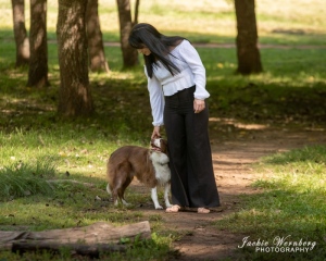 brown-and-white-bordercollie-standing-with-pretty-lady-on-shady-path