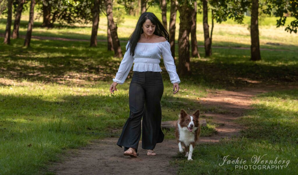 Border collie woodland photoshoot walking along path