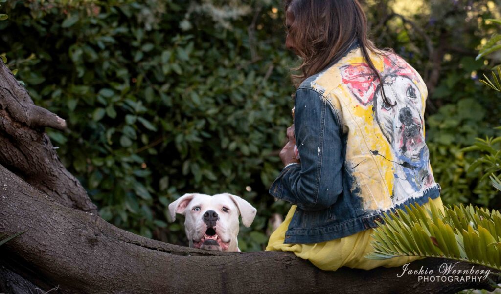 pitbull in country garden on log with owner