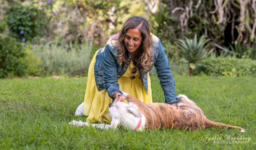 pitbull in country garden playing with owner