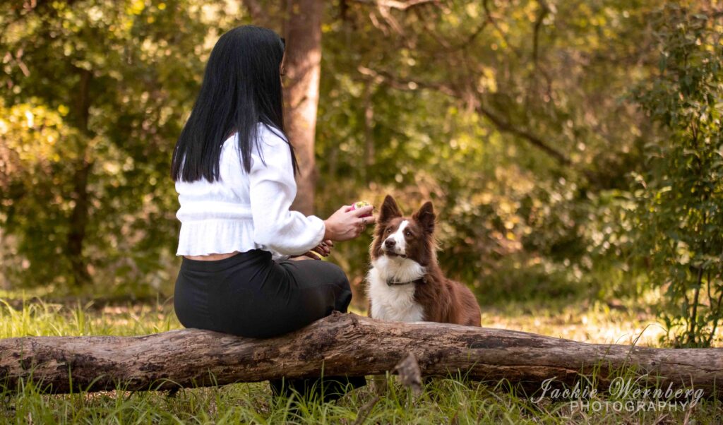 playing ball games in the woods with dog